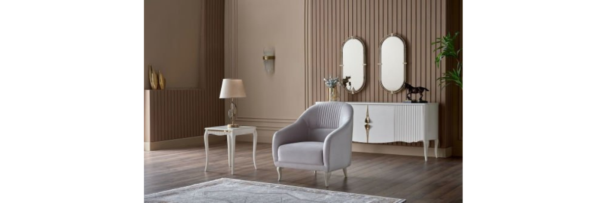 201/FOTORAFLAR /SALON KOLTUK TAKIMLARI