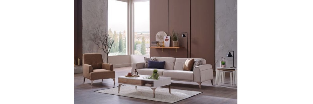 201/FOTORAFLAR /SALON KOLTUK TAKIMLARI