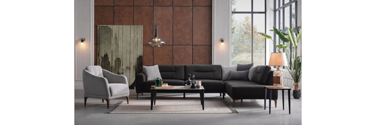 201/FOTORAFLAR /SALON KOLTUK TAKIMLARI