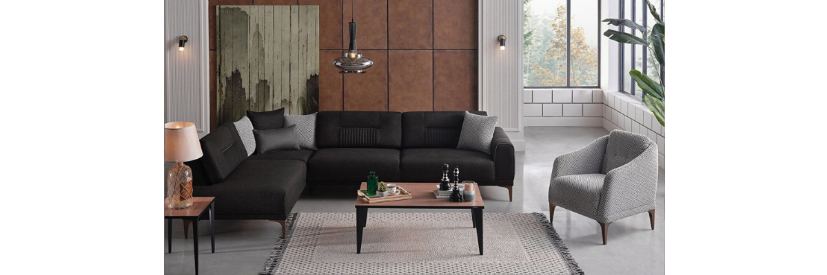 201/FOTORAFLAR /SALON KOLTUK TAKIMLARI