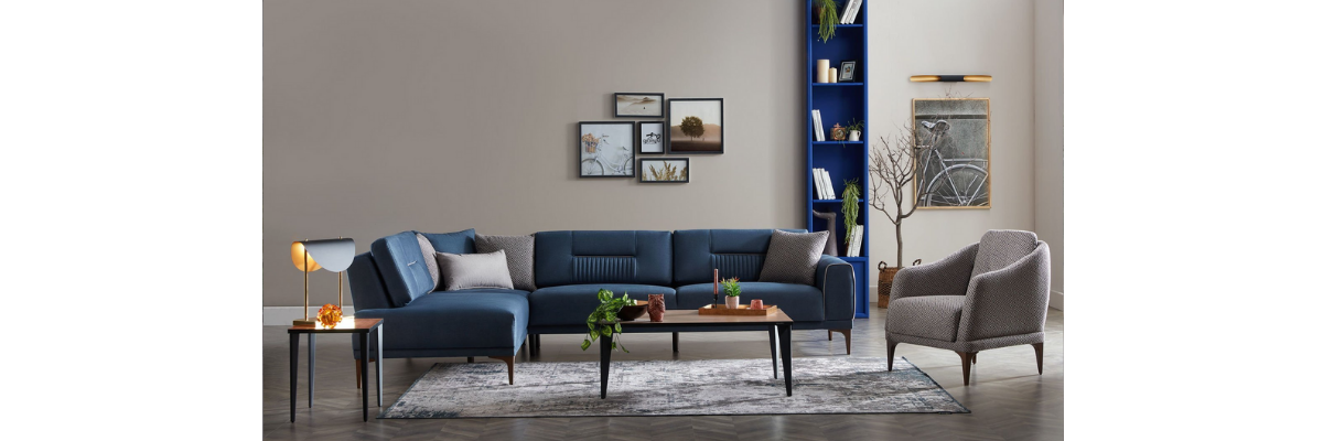 201/FOTORAFLAR /SALON KOLTUK TAKIMLARI